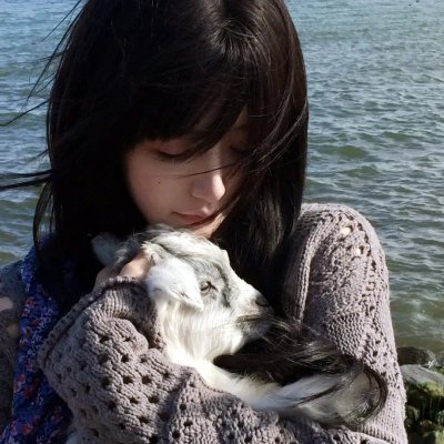 马与人